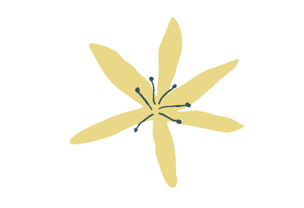 starringmay